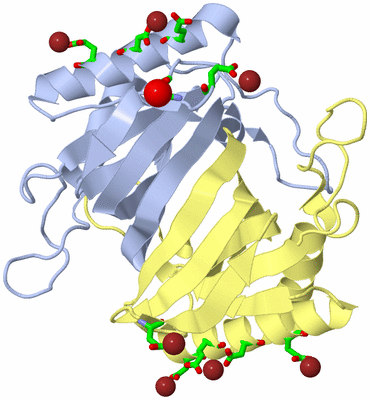 Image Biol. Unit 1 - sites