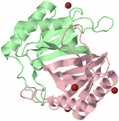 Image Biological Unit 2