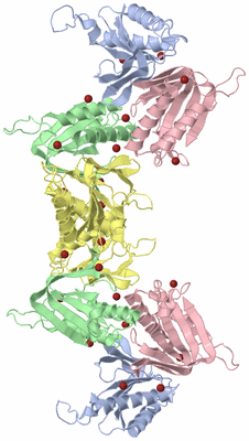 Image Biological Unit 3