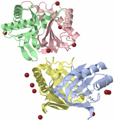 Image Biological Unit 4