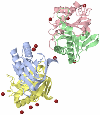 Image Biological Unit 5