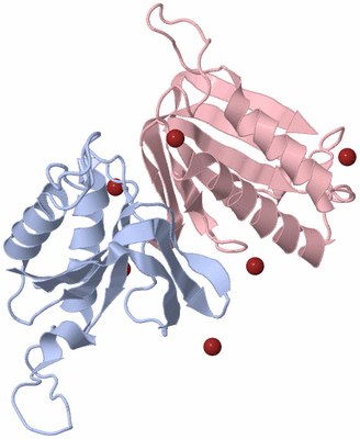 Image Biological Unit 6