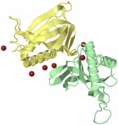 Image Biological Unit 7