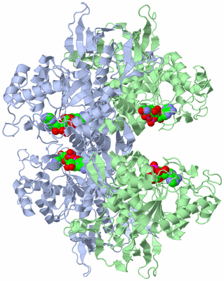 Image Biological Unit 1