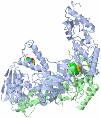 Image Asym./Biol. Unit