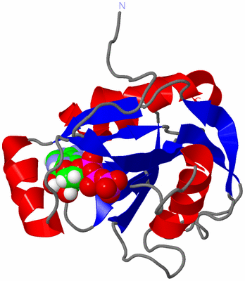 Image NMR Structure - model 1