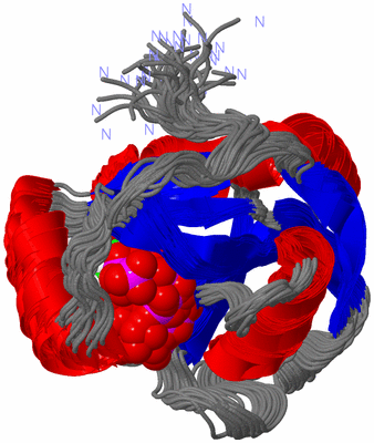 Image NMR Structure - all models