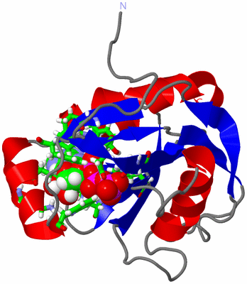 Image NMR Structure - model 1, sites