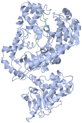 Image Asym./Biol. Unit