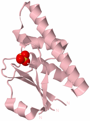 Image Biological Unit 3