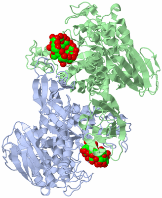 Image Asymmetric Unit