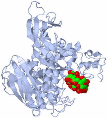 Image Biological Unit 1