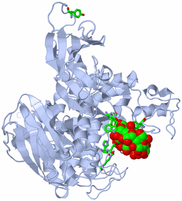 Image Biol. Unit 1 - sites