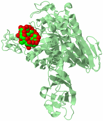 Image Biological Unit 2
