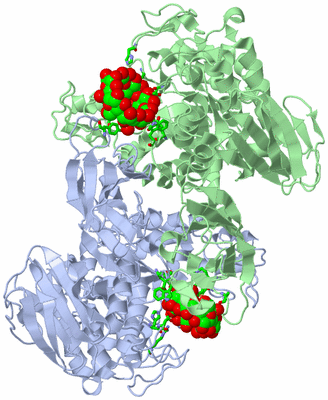 Image Asym. Unit - sites