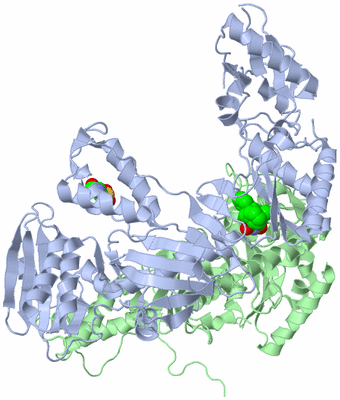 Image Asym./Biol. Unit