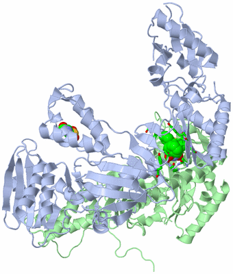 Image Asym./Biol. Unit - sites