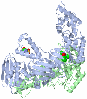 Image Asym./Biol. Unit