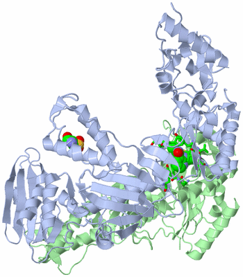 Image Asym./Biol. Unit - sites