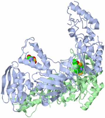 Image Asym./Biol. Unit