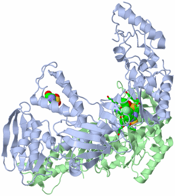 Image Asym./Biol. Unit - sites