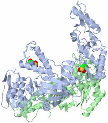 Image Asym./Biol. Unit