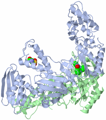 Image Asym./Biol. Unit