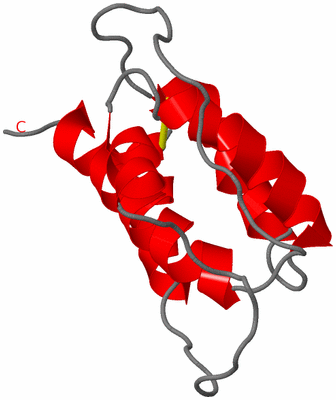 Image NMR Structure - model 1