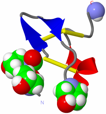 Image NMR Structure - model 1