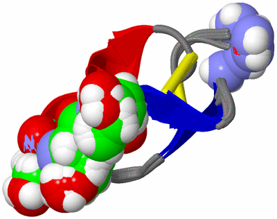 Image NMR Structure - all models