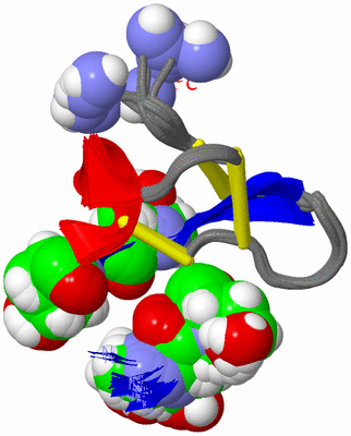 Image NMR Structure - all models