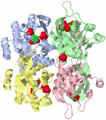 Image Asym./Biol. Unit