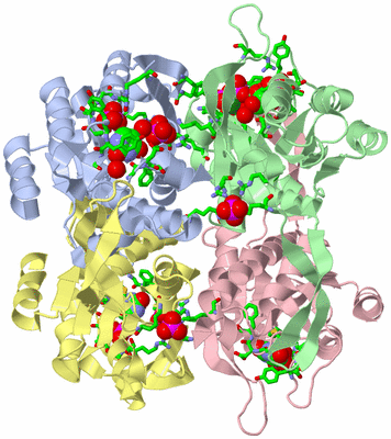 Image Asym./Biol. Unit - sites