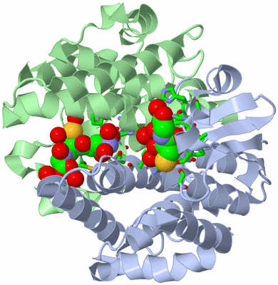 Image Biol. Unit 1 - sites