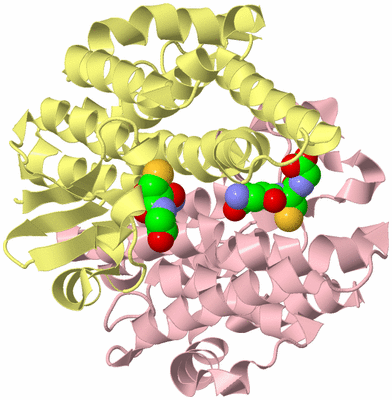 Image Biological Unit 2