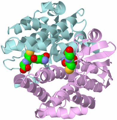 Image Biological Unit 3