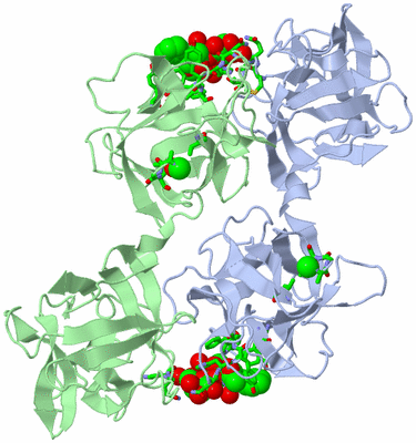 Image Asym./Biol. Unit - sites