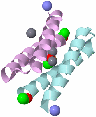 Image Biological Unit 3