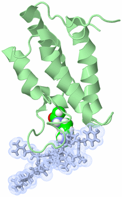 Image NMR Structure - model 1