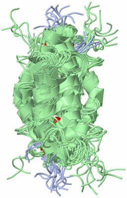 Image NMR Structure - all models