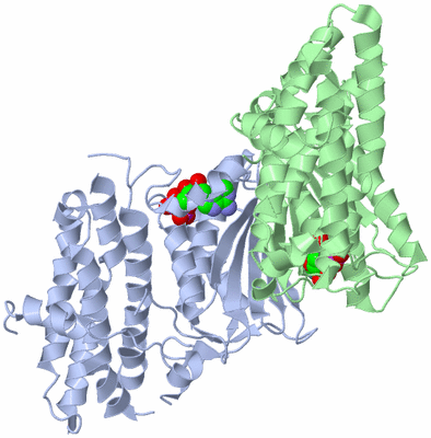 Image Asym./Biol. Unit