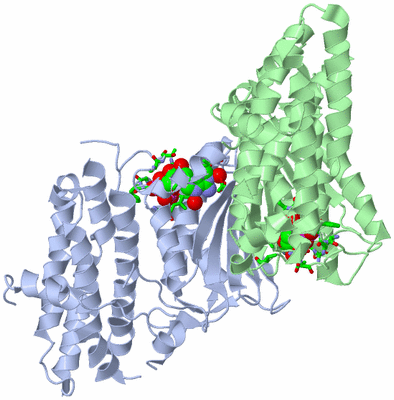 Image Asym./Biol. Unit - sites