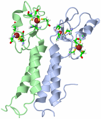 Image NMR Structure - model 1, sites