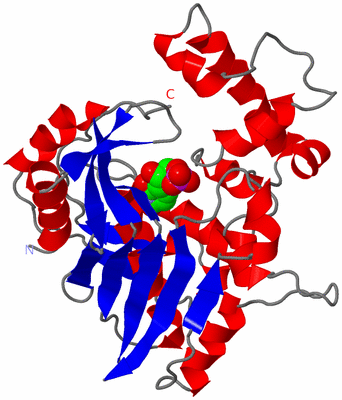 Image Asymmetric Unit