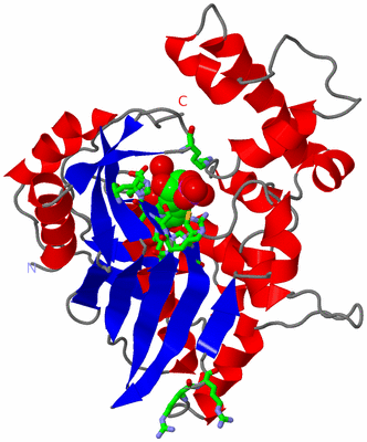 Image Asym. Unit - sites