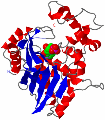 Image Asymmetric Unit
