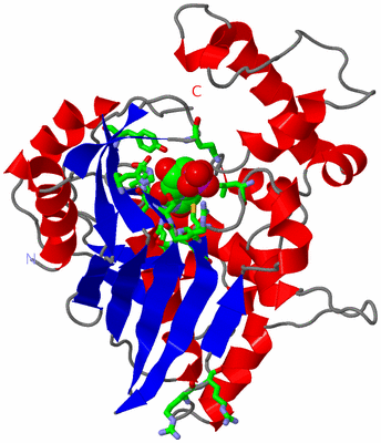 Image Asym. Unit - sites