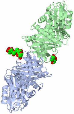 Image Asym./Biol. Unit