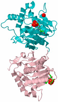 Image Asym./Biol. Unit - sites