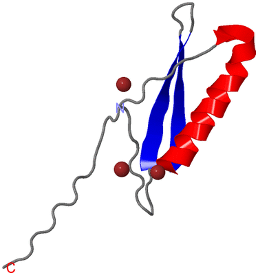 Image Asymmetric Unit